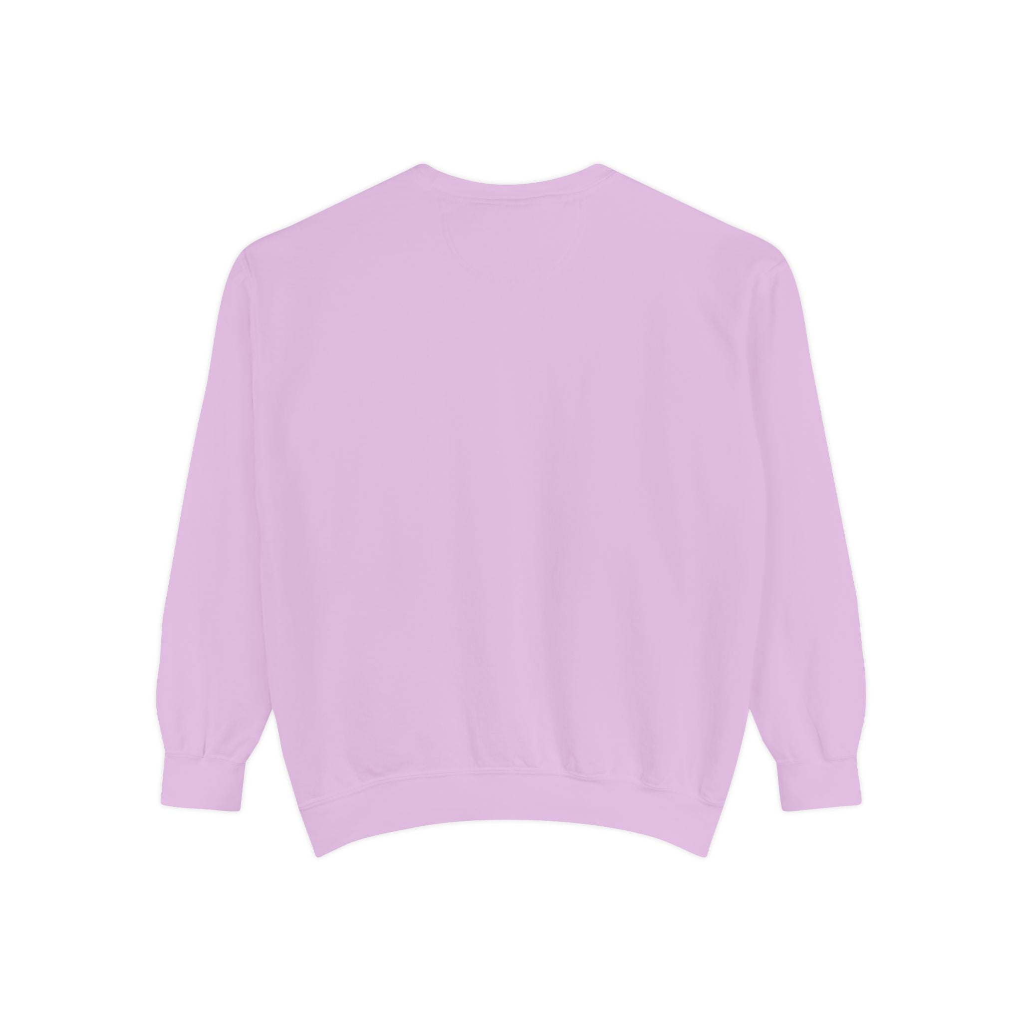 Social Battery 1% Sweatshirt | Low Energy Graphic Crewneck