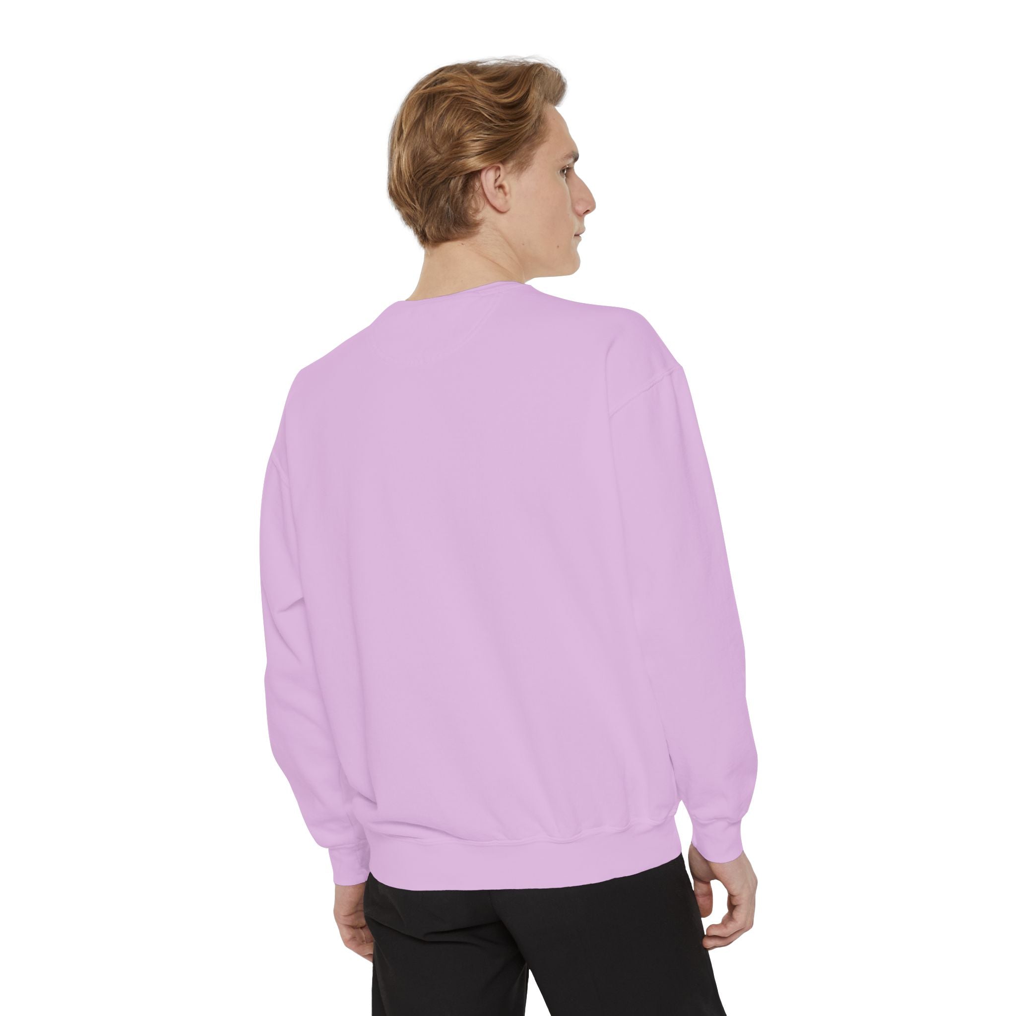 Social Battery 1% Sweatshirt | Low Energy Graphic Crewneck